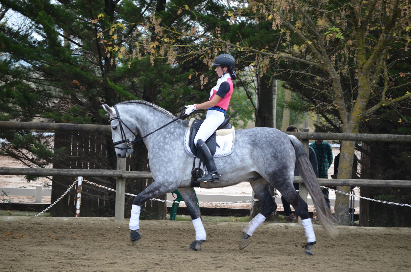 Resultados Finales Campeonato Navarro de Doma Clásica 2015